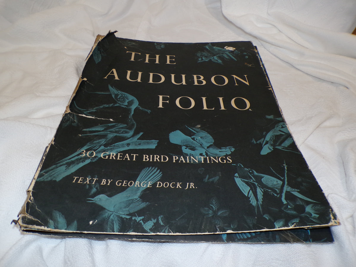 A range of plates from the Audubon Collection