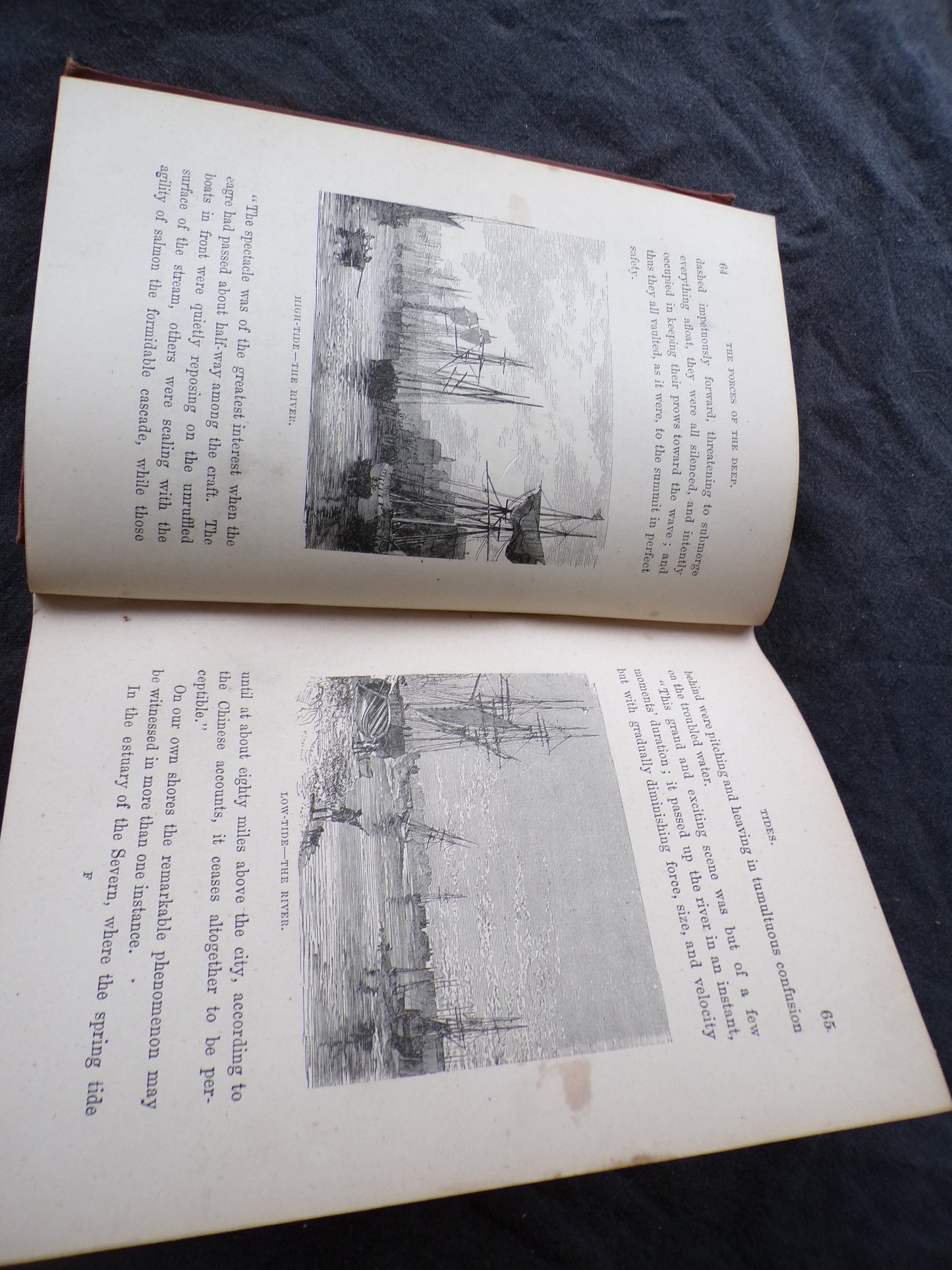 Antique book: 'Half Hours in the Deep' with illustrations