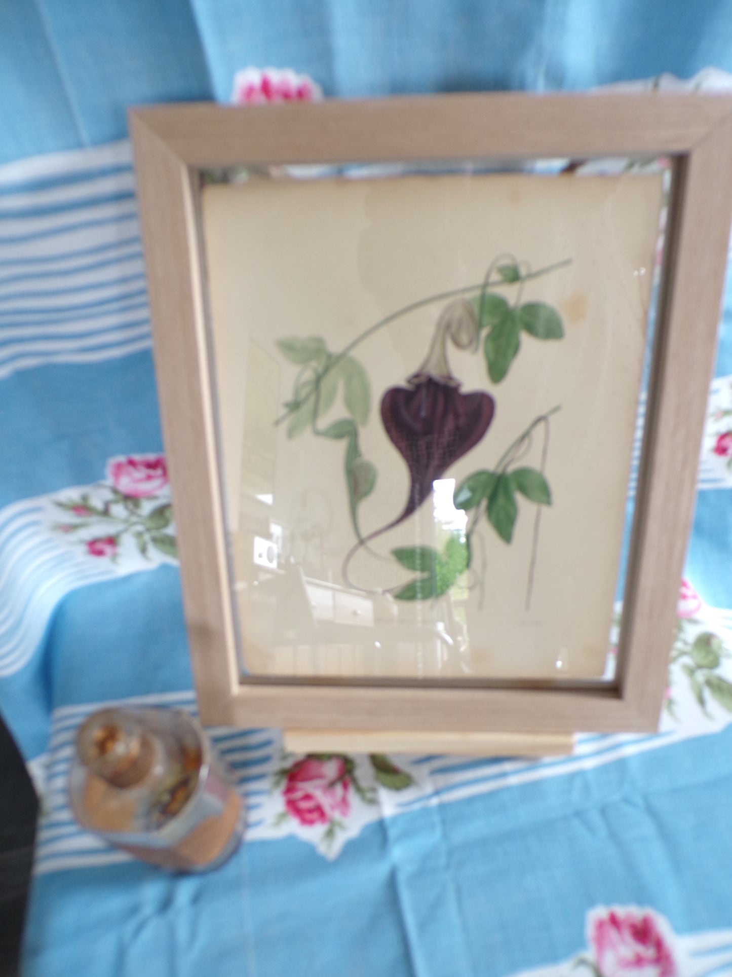 Pretty Edwardian plates of English country garden flowers