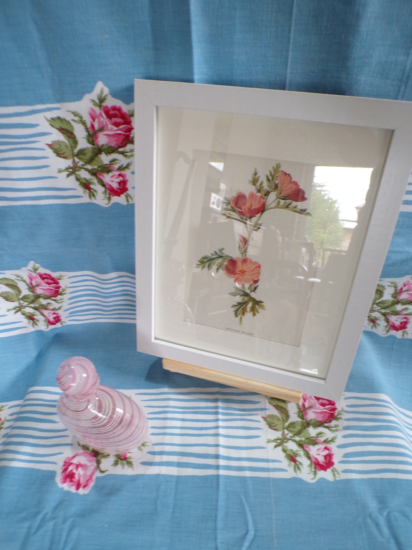 Pretty Edwardian English country flower plates